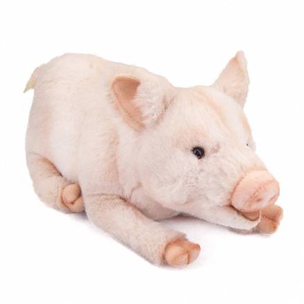 Мягкая игрушка – Свинка, 28 см. 